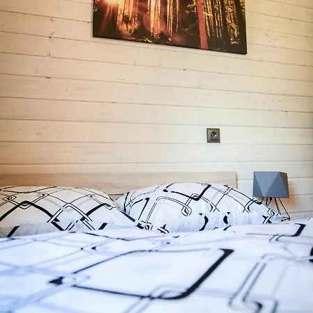 Forest Camp - Zator, Ogrzewane Tatil Evi Zator